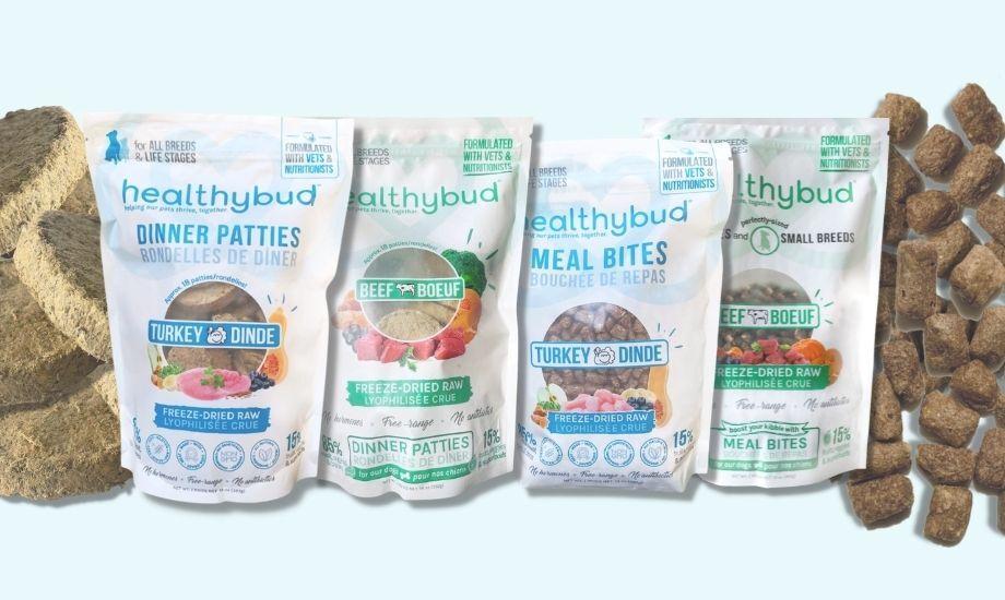 4 Reasons Your Dog Should Try Healthybud Food - healthybud
