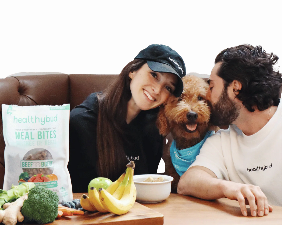 Dog and family lifestyle
