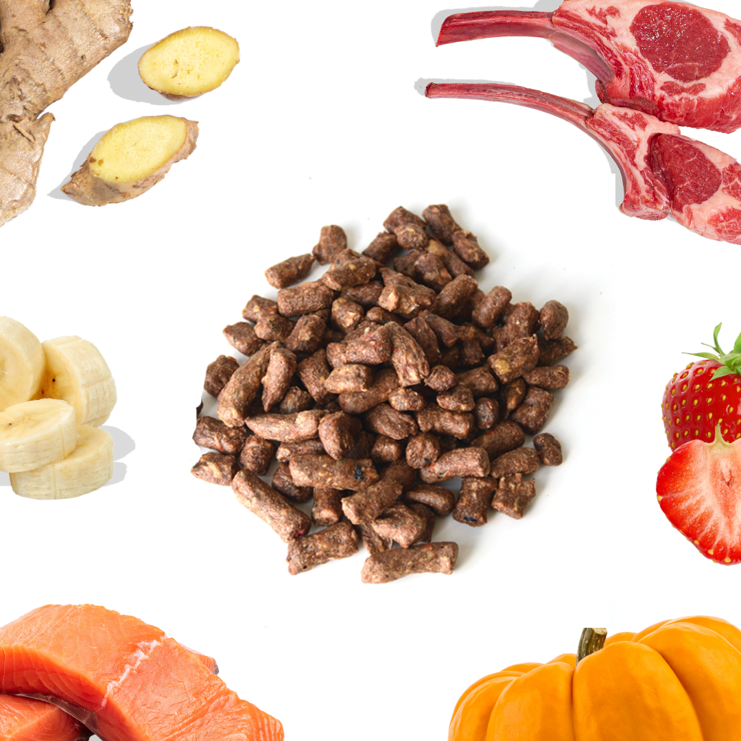 Lamb+Salmon Meal Bites - healthybud