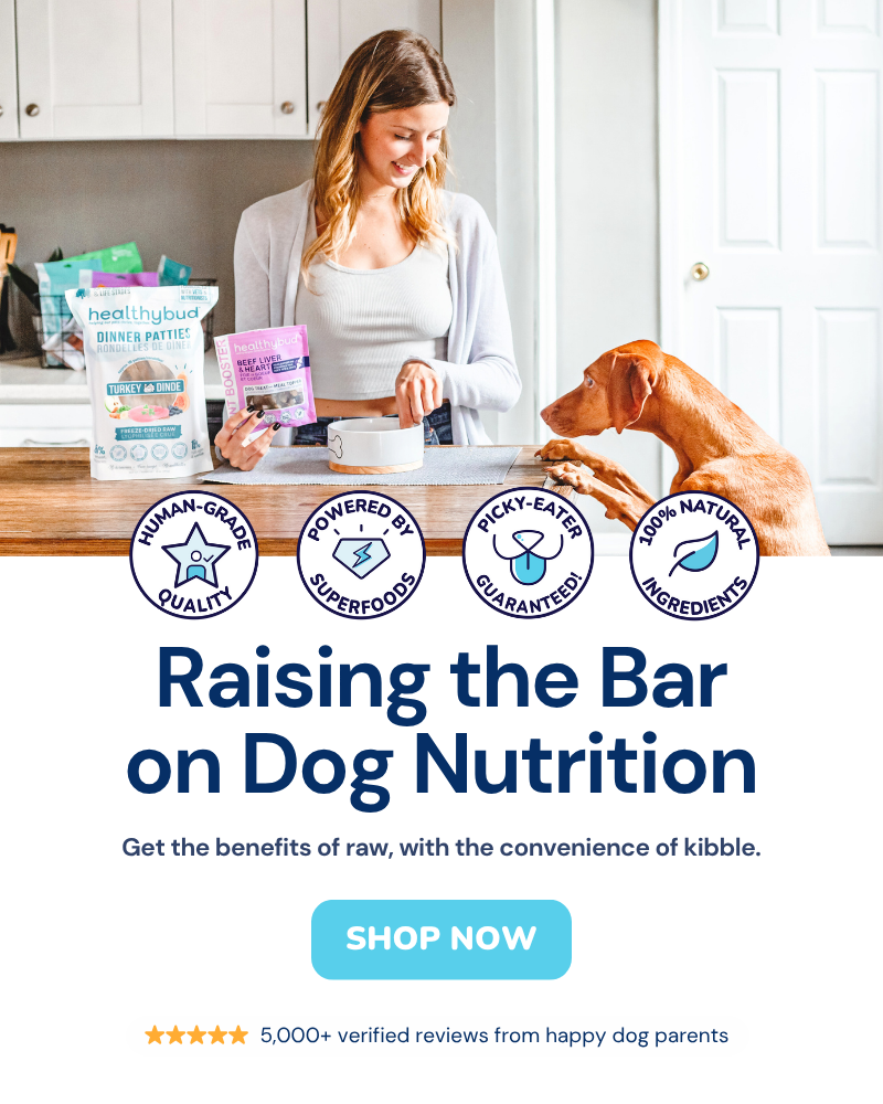 Raising the Bar on Dog Nutrition