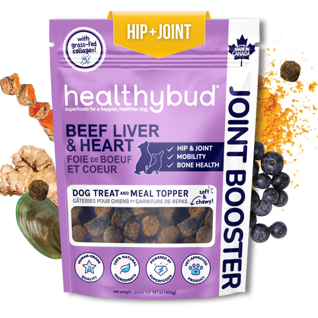 Beef Joint Booster - healthybud