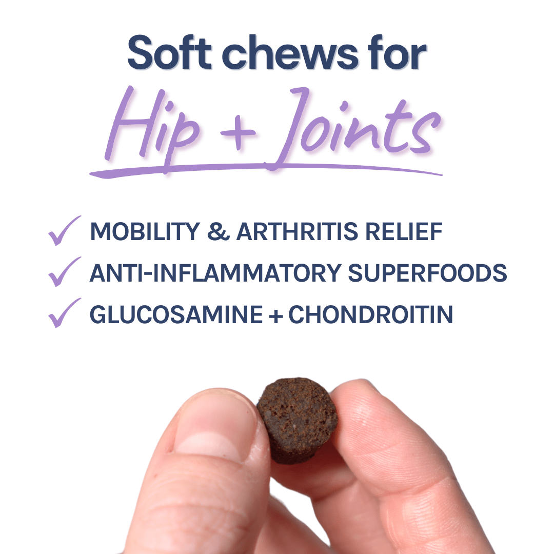 Beef Joint Booster - healthybud
