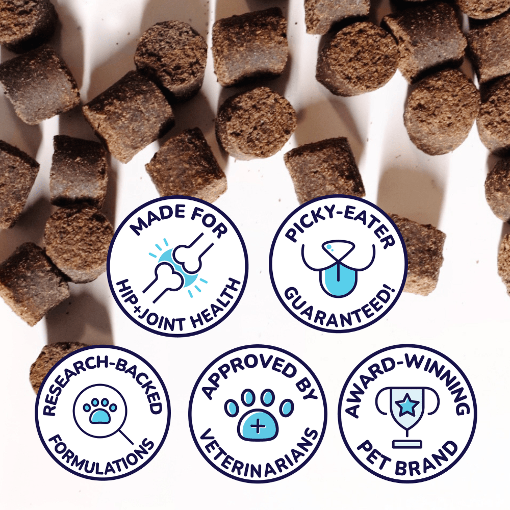 Beef Joint Booster - healthybud