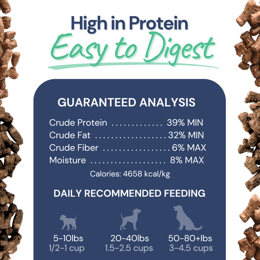 Beef Meal Bites - healthybud