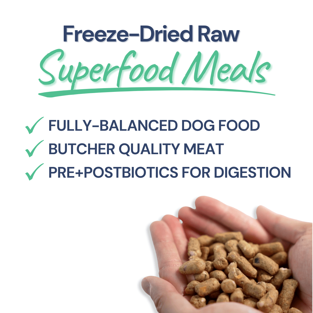 Beef Meal Bites - healthybud