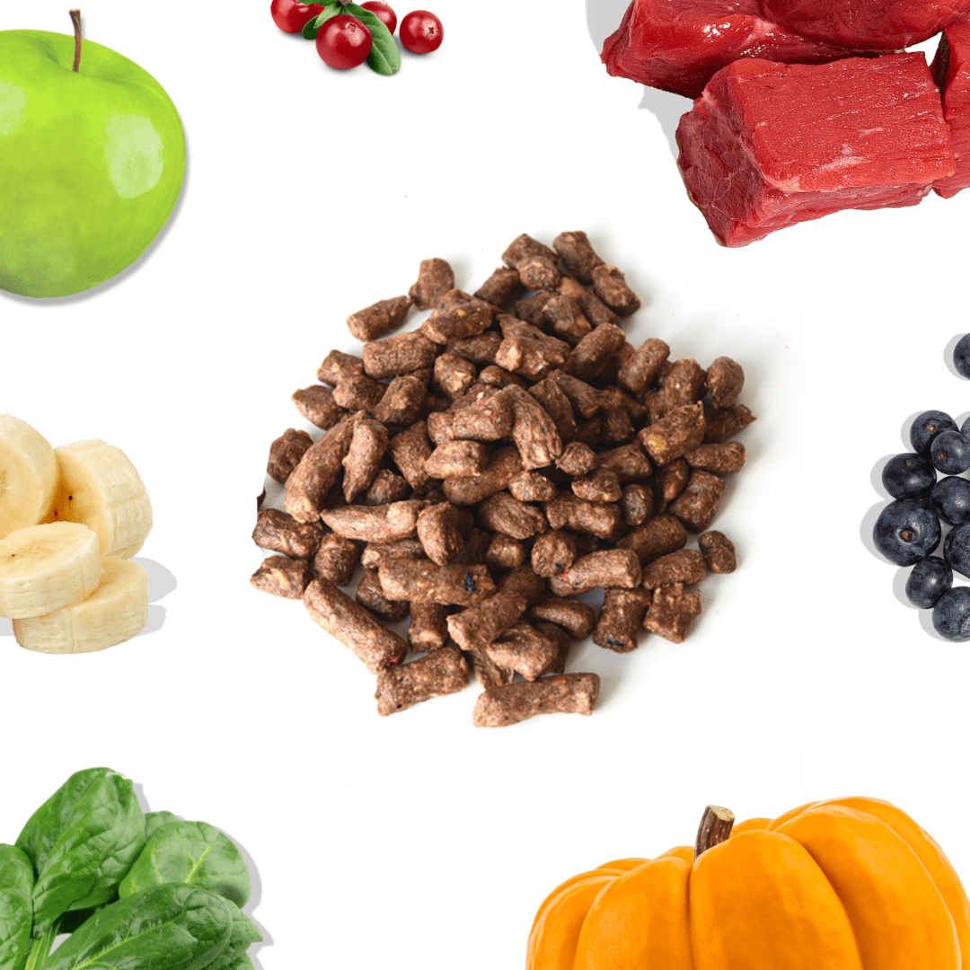 Beef Meal Bites - healthybud