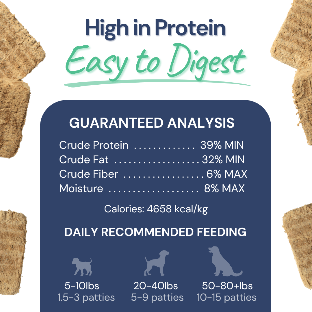 Beef Meal Patties - healthybud