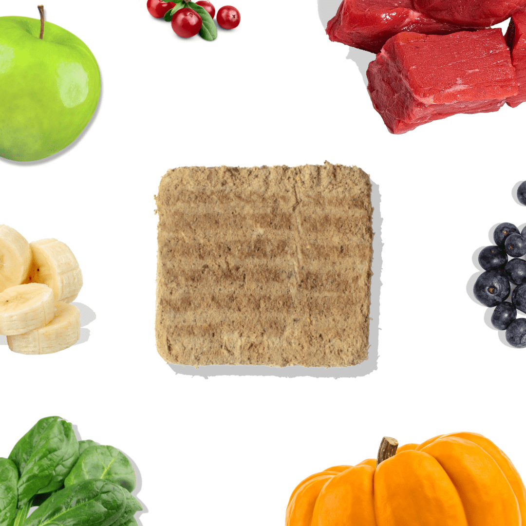 Beef Meal Patties - healthybud