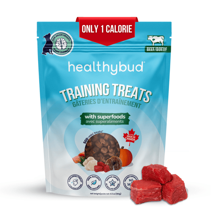 Beef Mini Training Treats