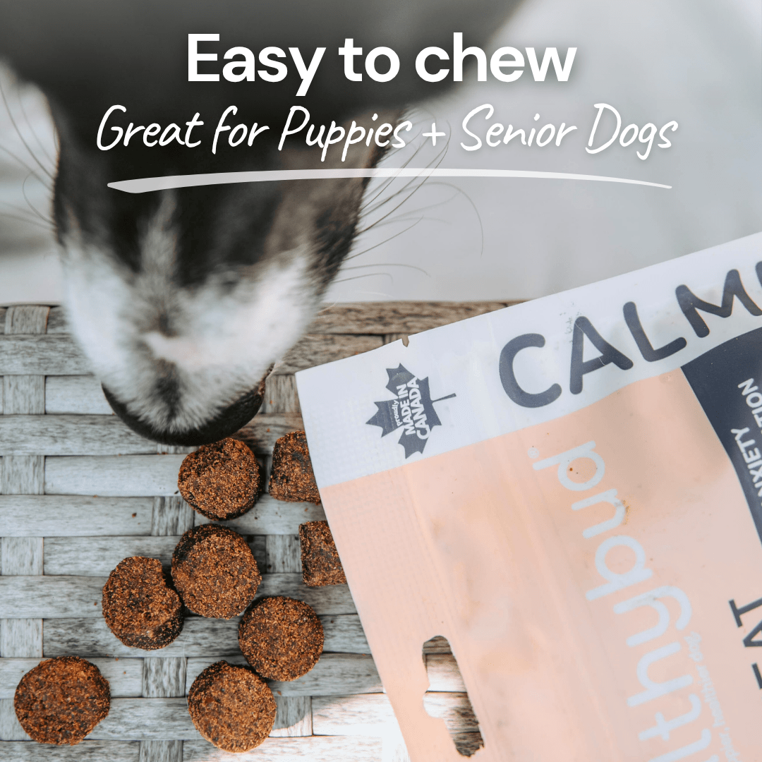 Duck Calming Aid - healthybud