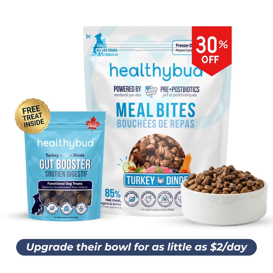 Large Dog Starter Kit (30 - Day Supply) - healthybud