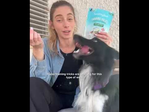 Charger la vidéo :