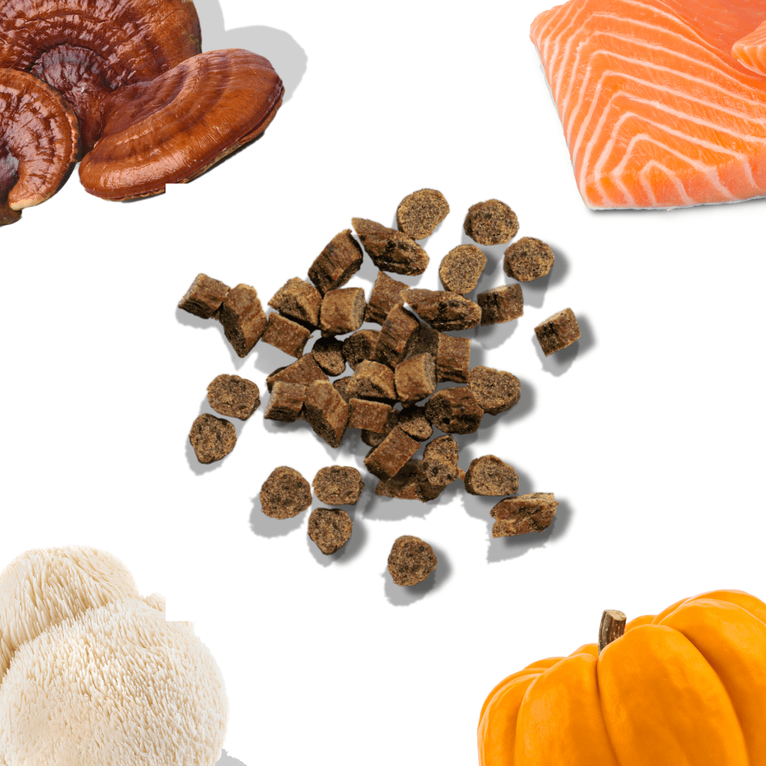 Salmon Mini Training Treats - healthybud