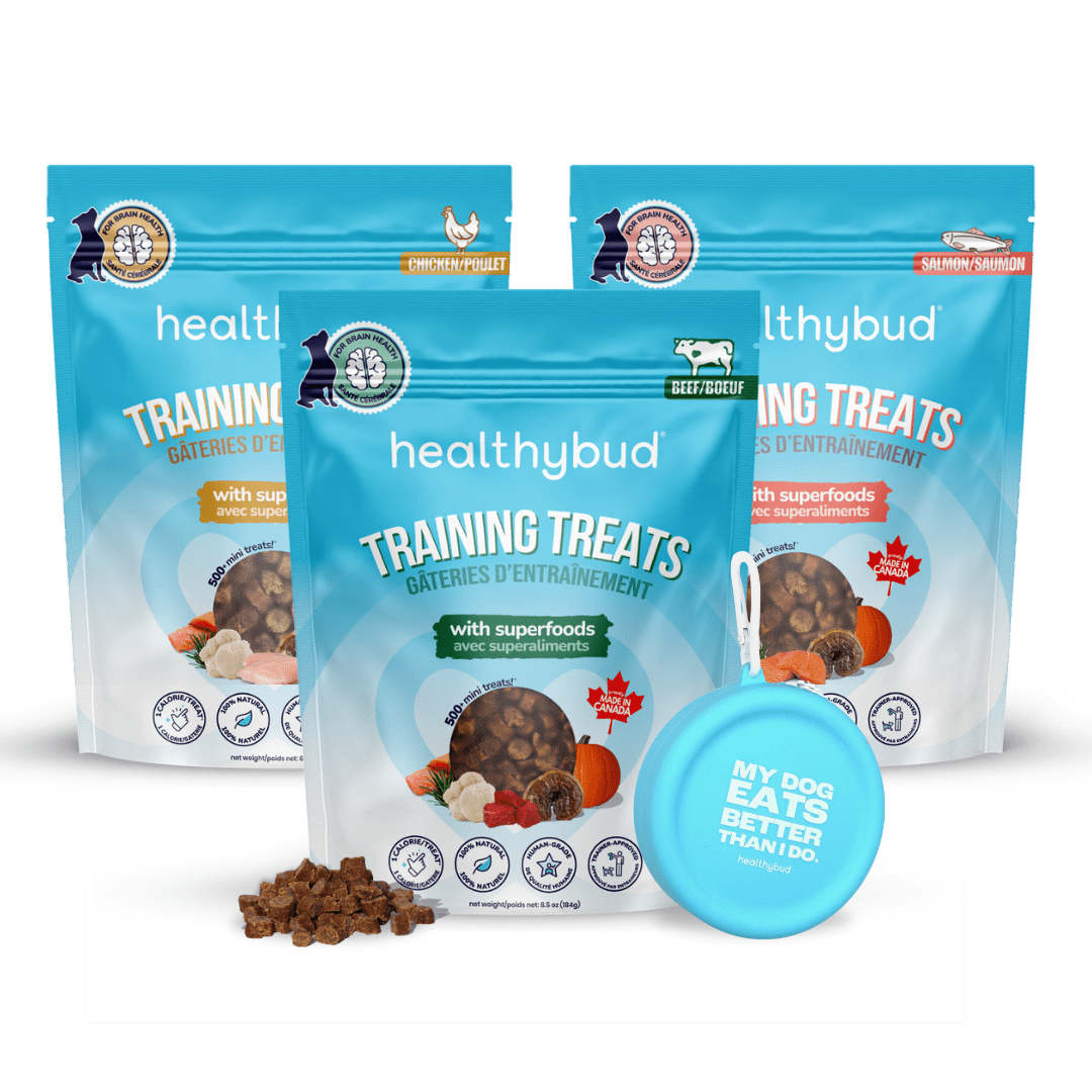 Training Treat Variety Pack - healthybud
