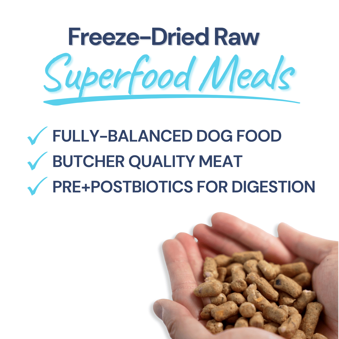 Turkey Meal Bites - healthybud