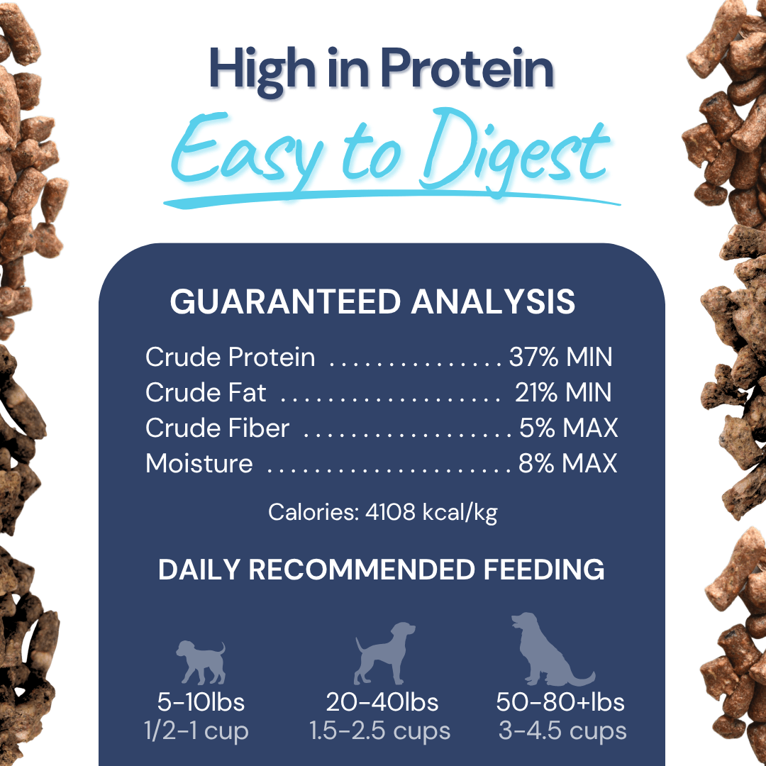 Turkey Meal Bites - healthybud