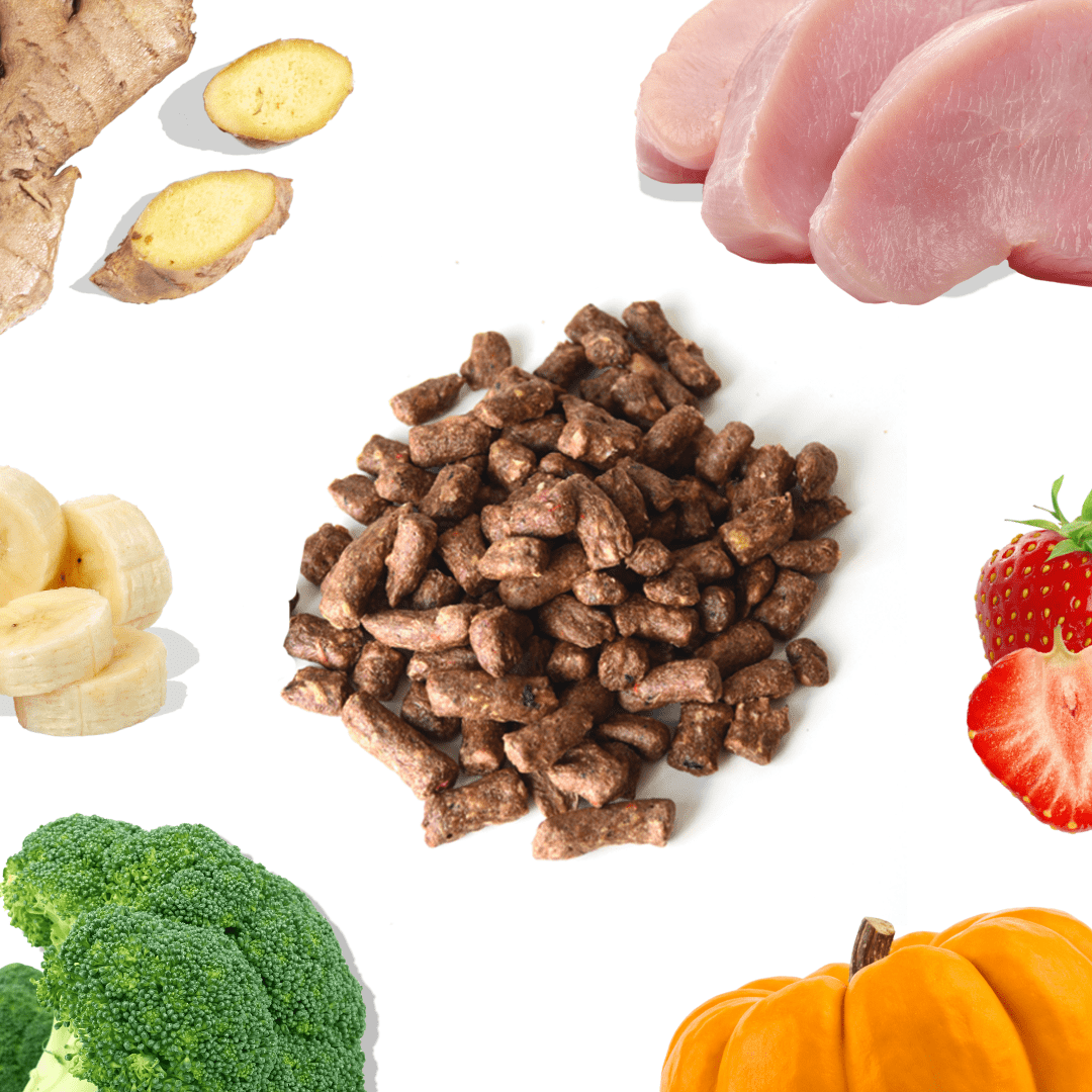 Turkey Meal Bites - healthybud