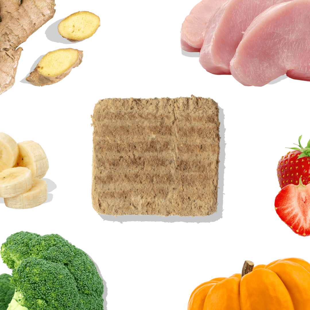 Turkey Meal Patties - healthybud