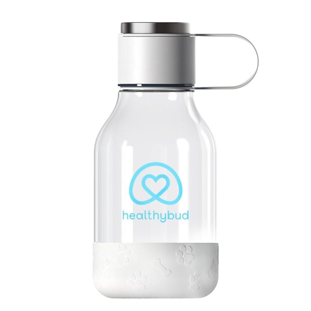 Water Bottle & Dog Bowl - healthybud