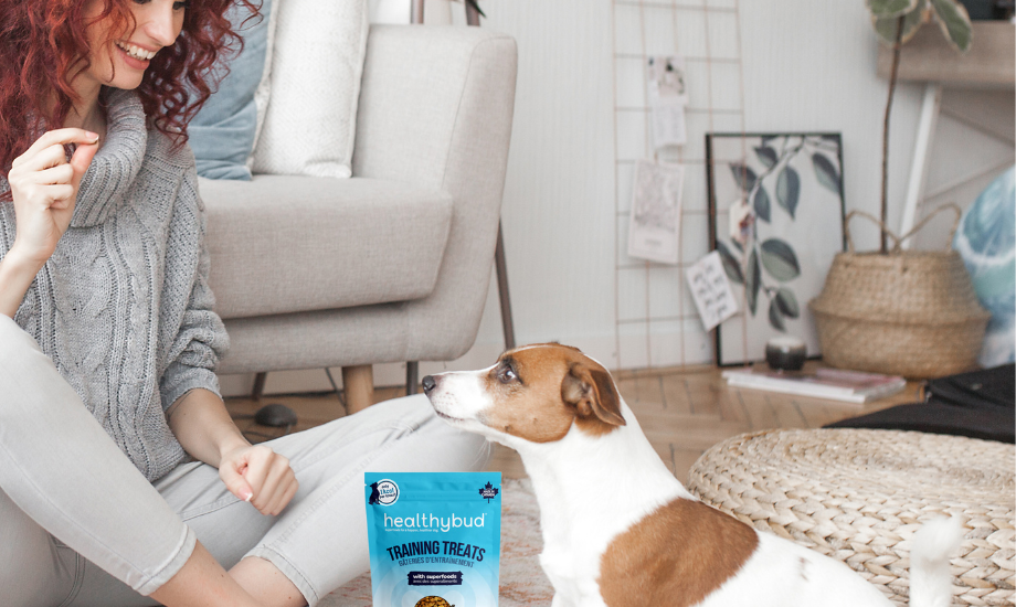 The top 5 treats to train your pup with