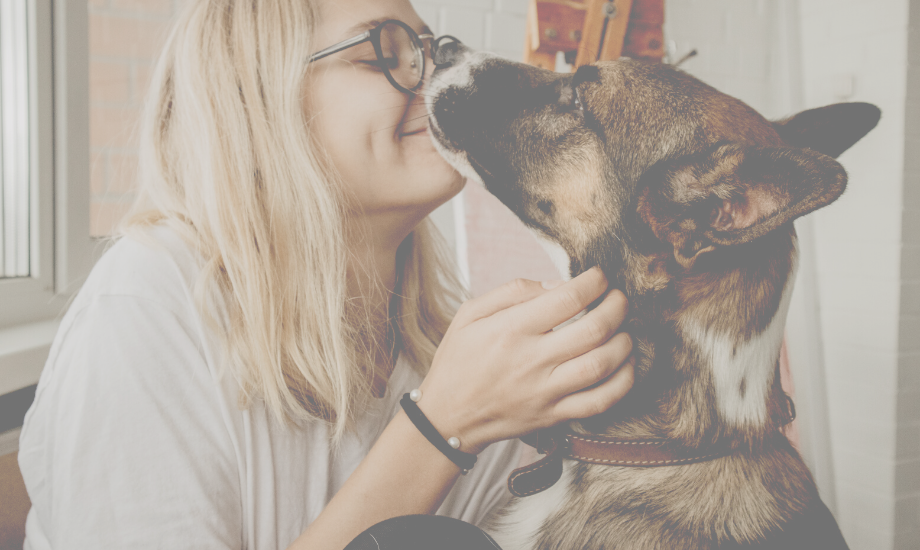 The Power Of Pups On Our Mental Health
