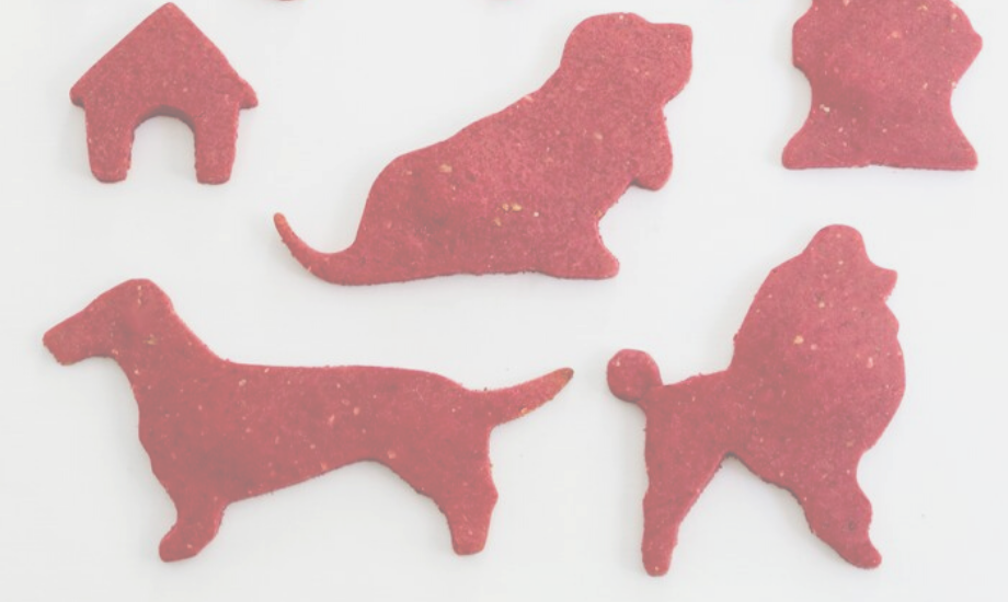 4 Holiday Treat Recipes For Your Dog