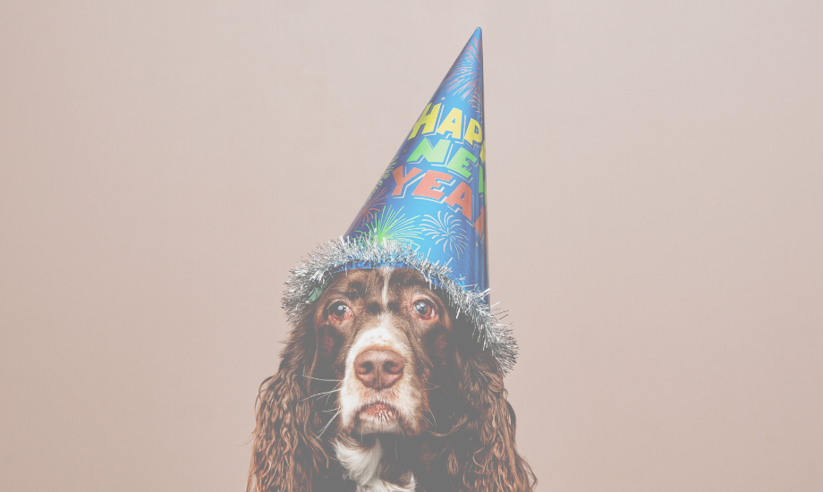 Top 5 New Year's Resolutions for Your Dog