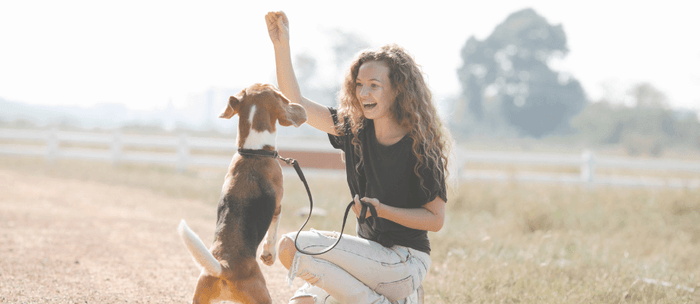 Healthybud Mini Training Treats for Busy Pet Parents: 10 Dog Training Tips