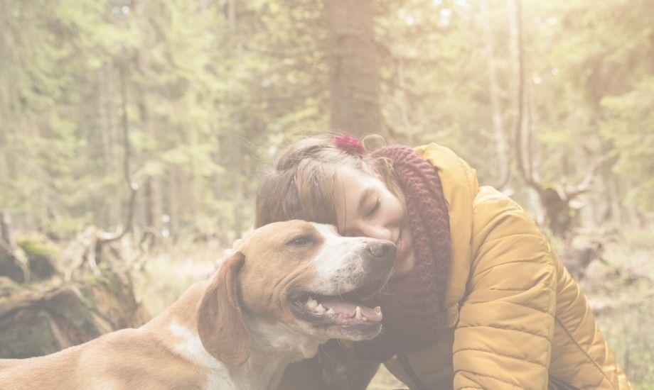 Eco Friendly Pet Parenting Tips - healthybud