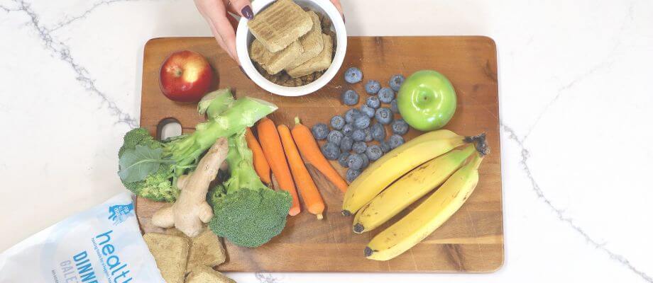 Gut Health for Dogs: Your Guide to Pre, Pro & Post-Biotics