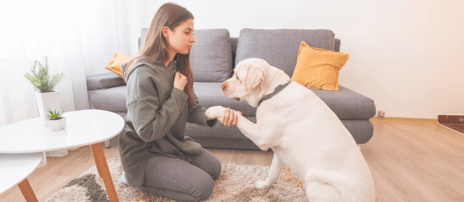 Healthybud’s New Treats: Why are they Effective