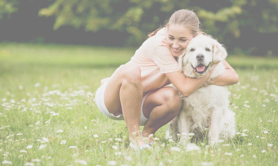 Top 5 Wellness Tips For Dogs - healthybud