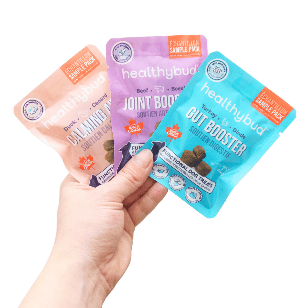 Sample Bags - healthybud
