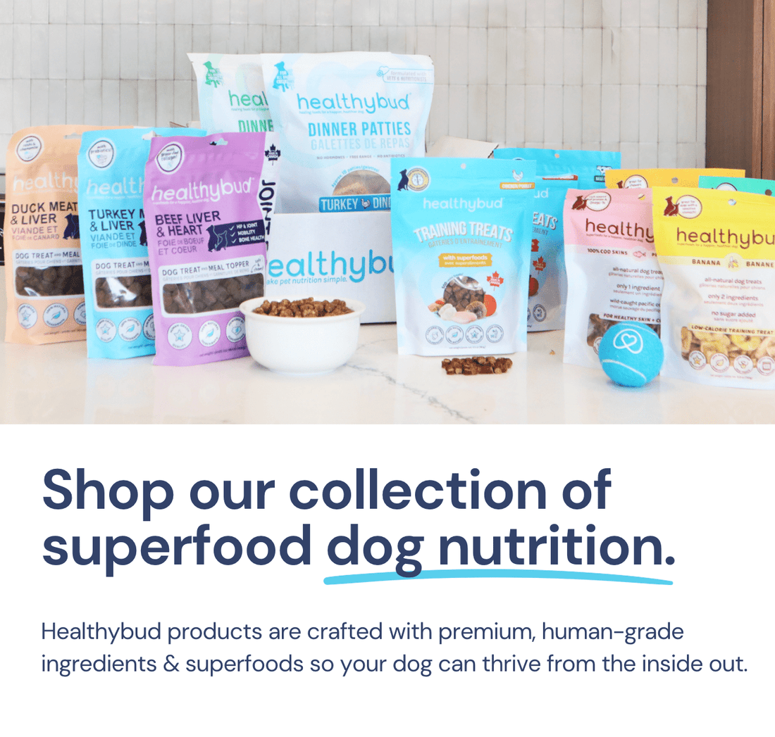 Shop All - healthybud