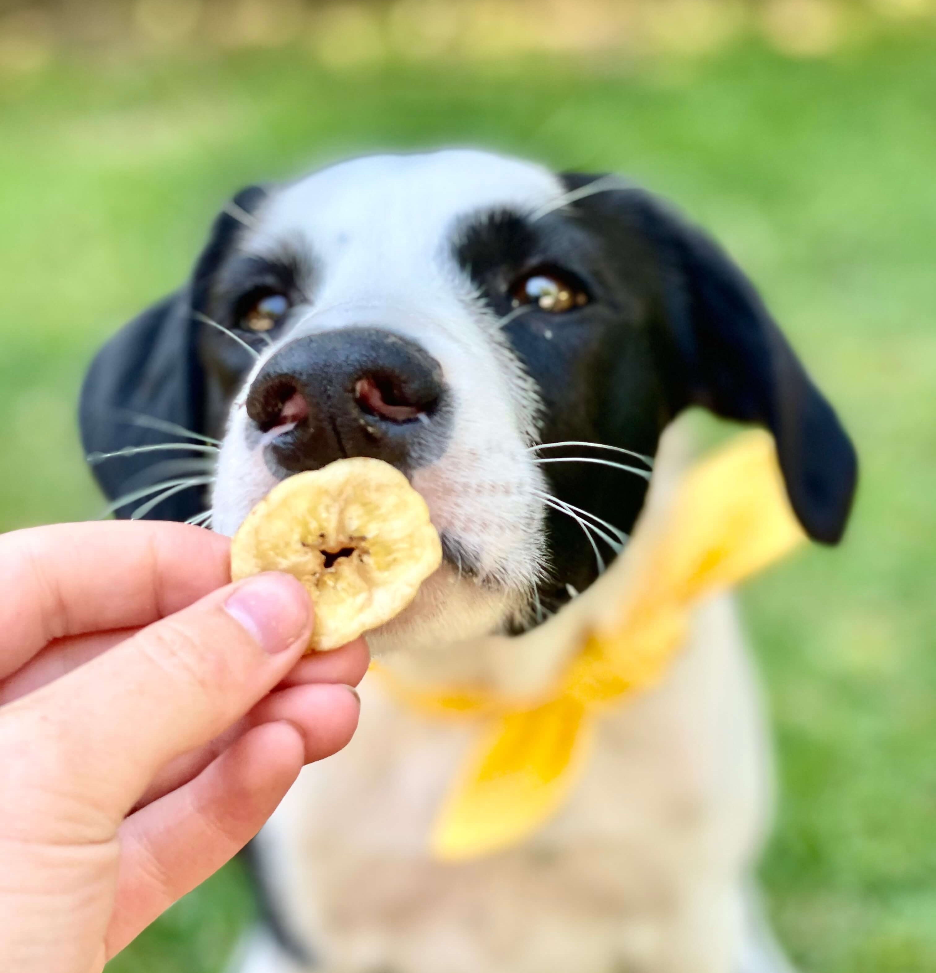Chips de Banane