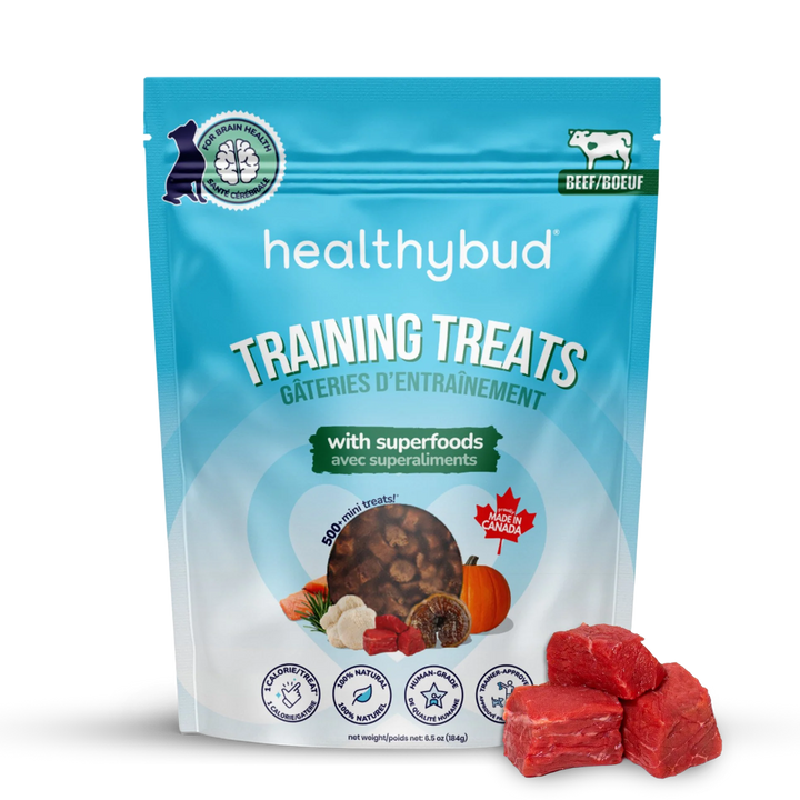 Beef Mini Training Treats