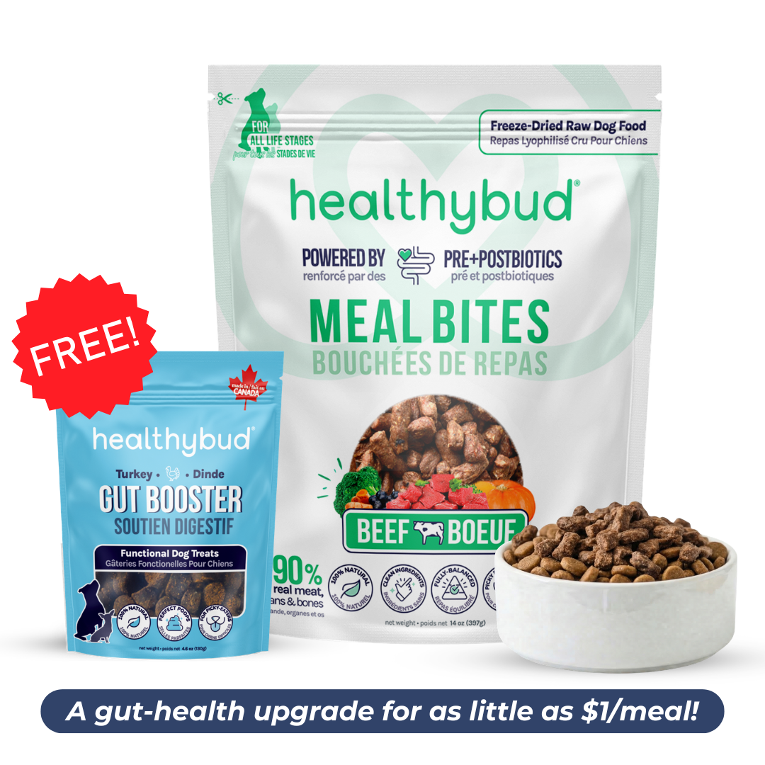 Small Dog Starter Kit (30-Day Supply)