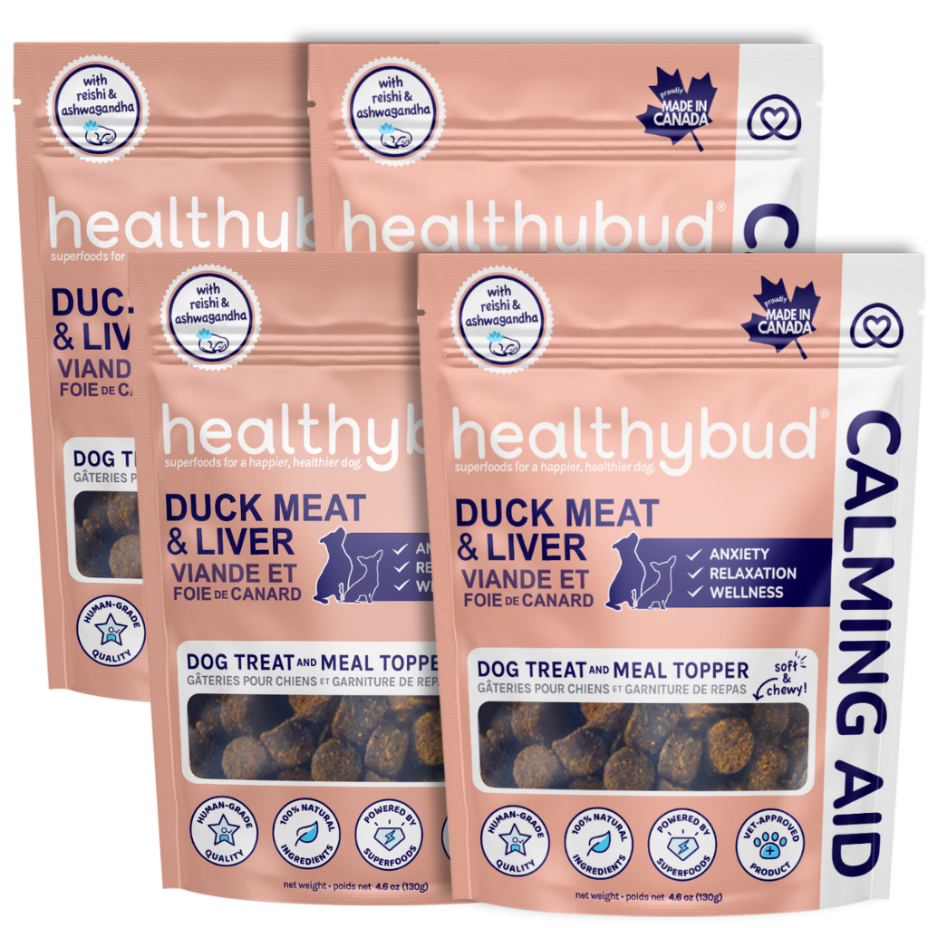 The Calming Aid – Help Your Dog Relax