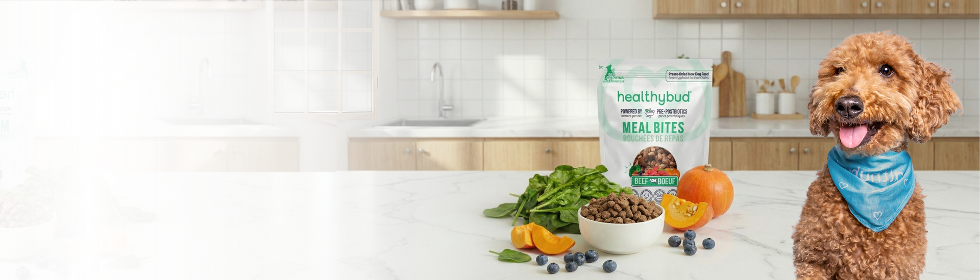 Dog standing next to a bag of Healthpet Real Bites in a kitchen setting with fruits and vegetables.