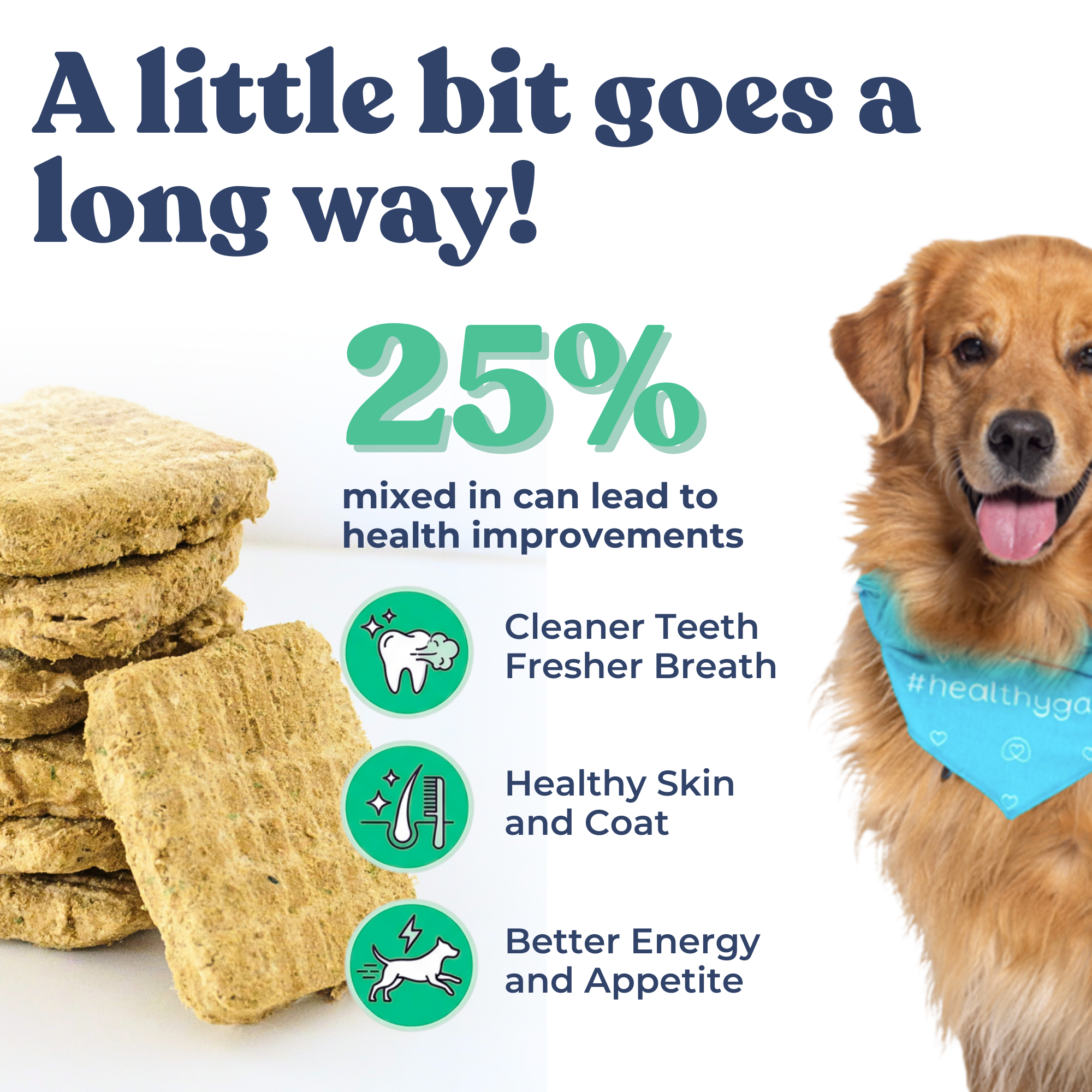 Galettes de Repas (Boeuf)