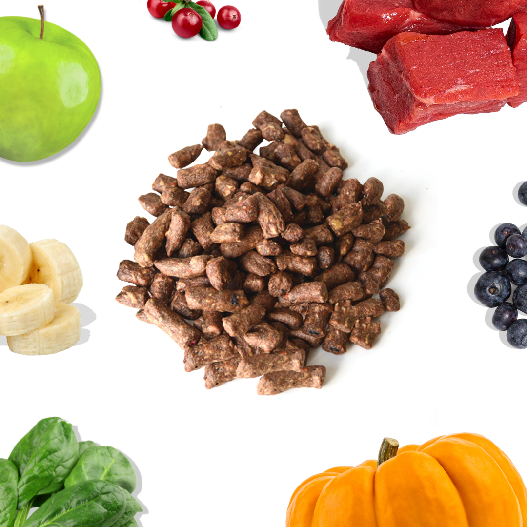 Beef Meal Bites - healthybud