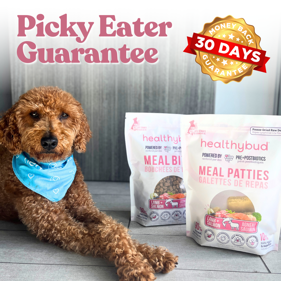 Lamb + Salmon Meal Bites