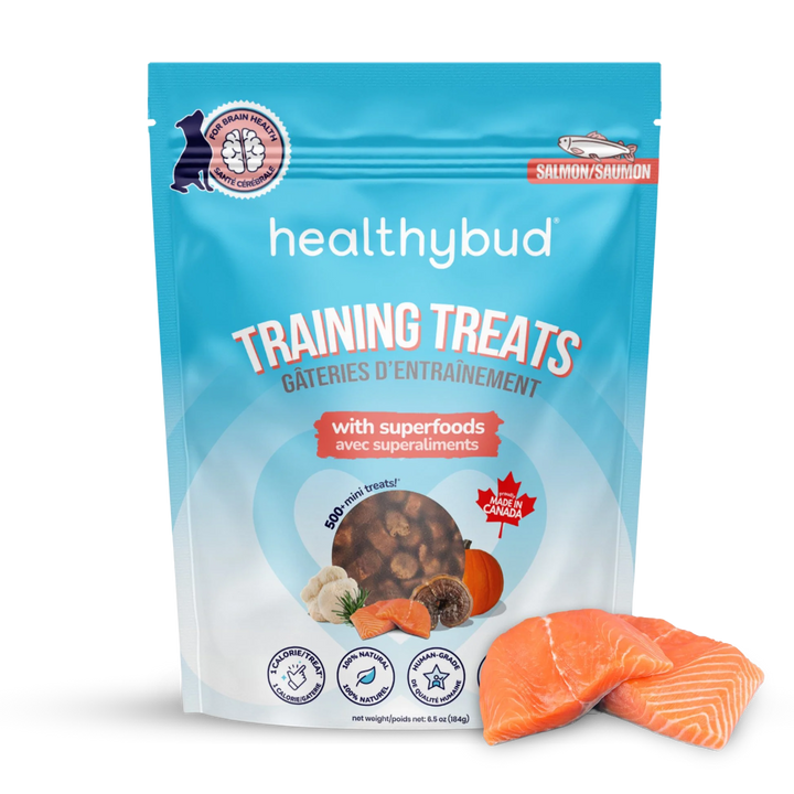Salmon Mini Training Treats