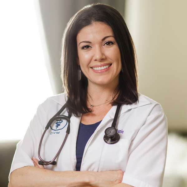 Dr. Steph, DVM.