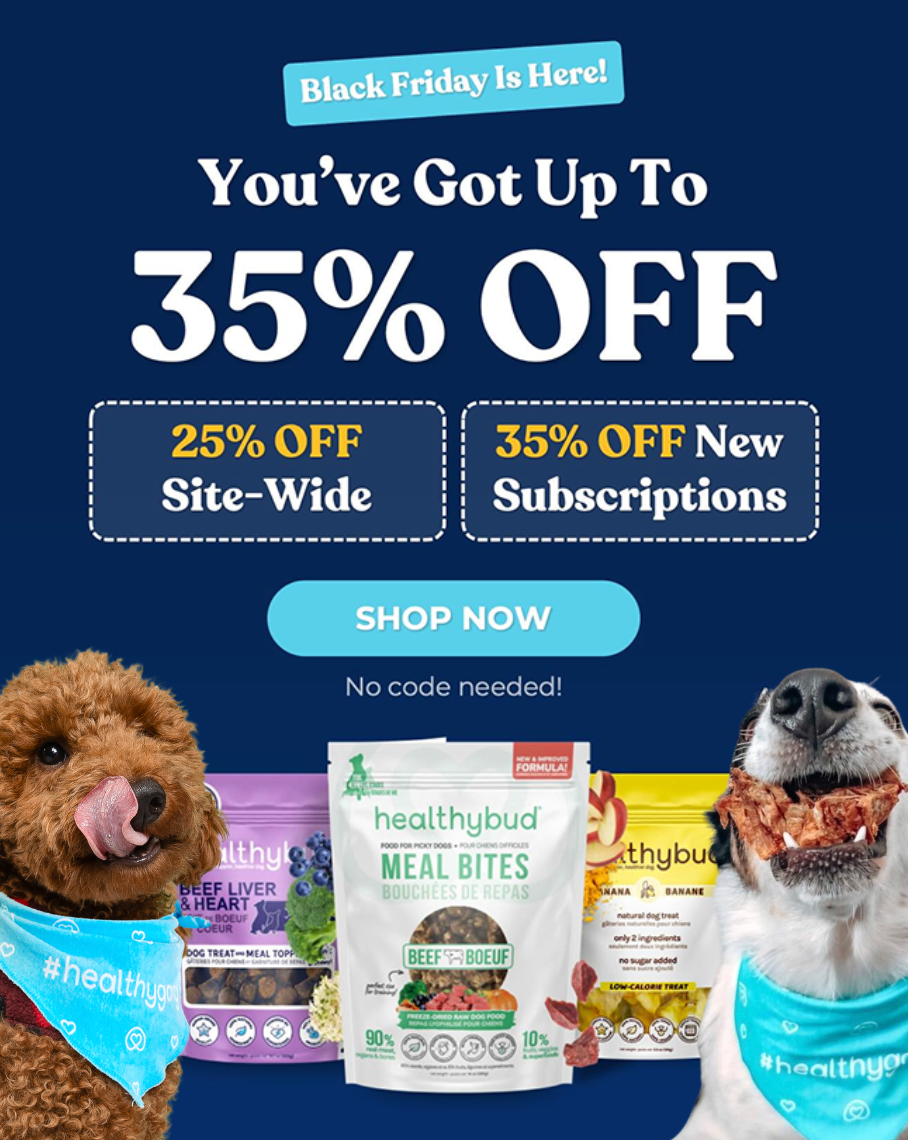 Raising the Bar on Dog Nutrition