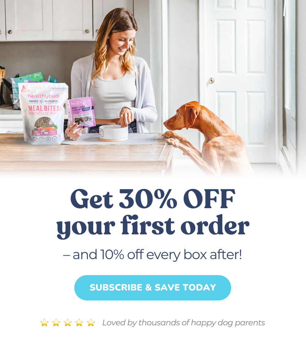 Raising the Bar on Dog Nutrition