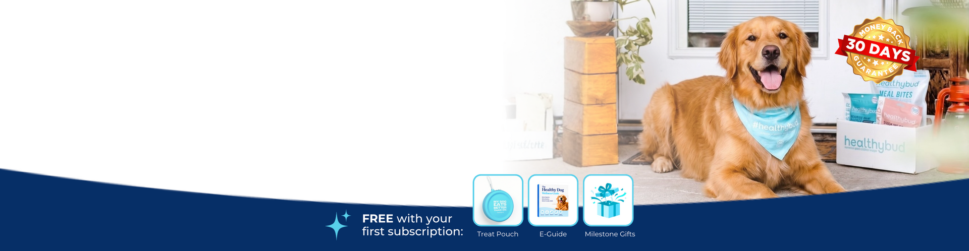 A golden retriever lies on a wooden floor wearing a blue bandana, with pet care products and boxes visible in a bright home setting. A red badge says '30 DAYS' and the bottom of the image has a dark blue banner with subscription icons and text.