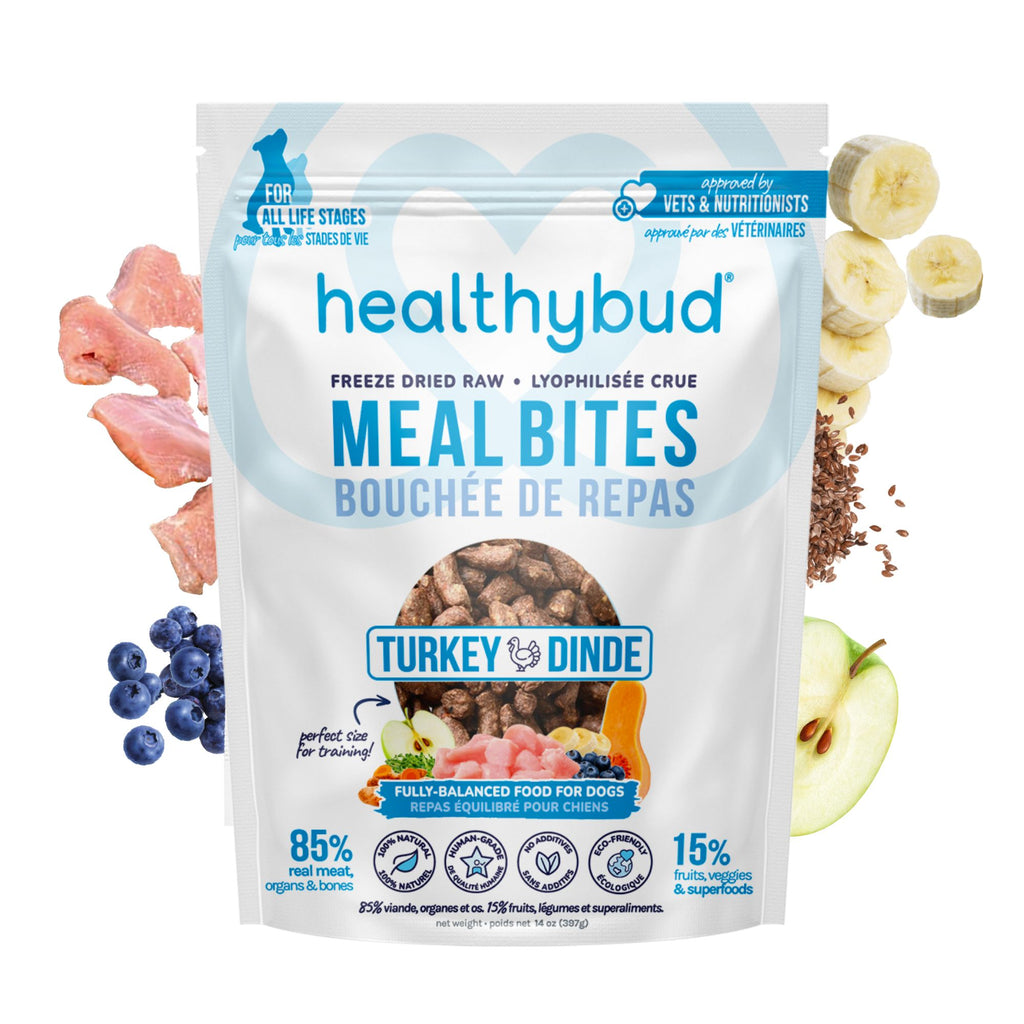 Turkey Meal Bites Front of healthybud bag superfood burst