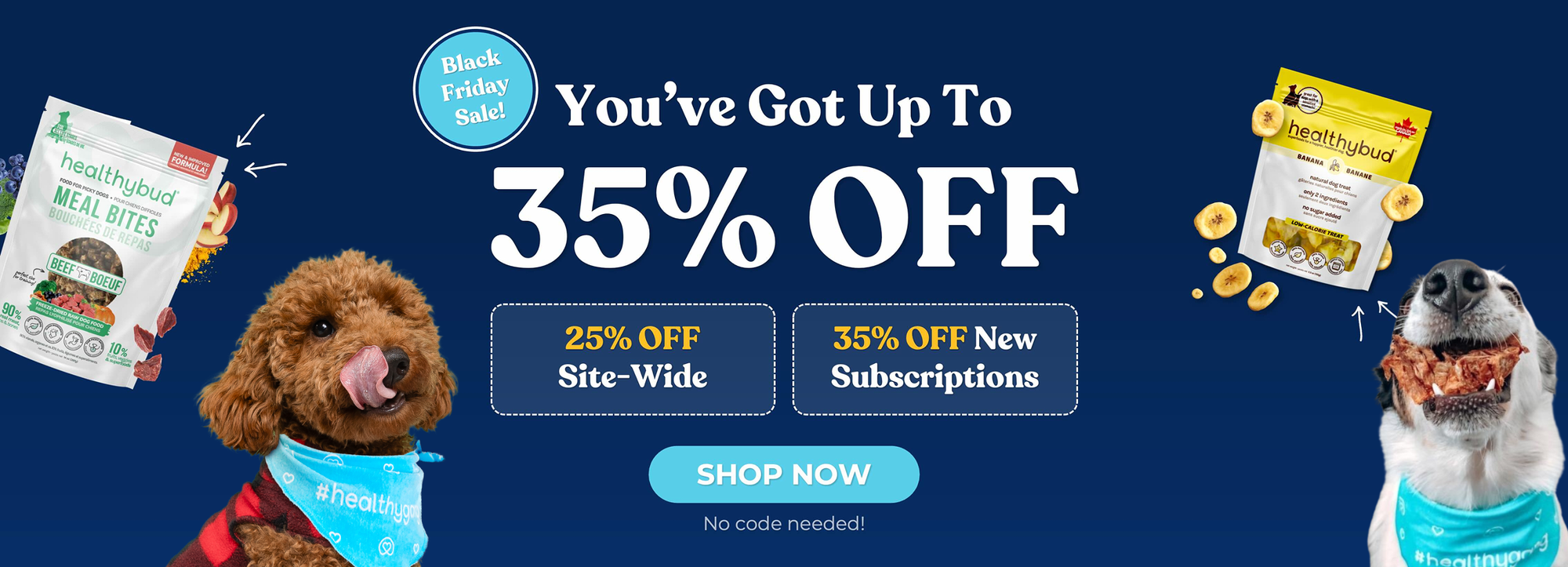 Raising the Bar on Dog Nutrition