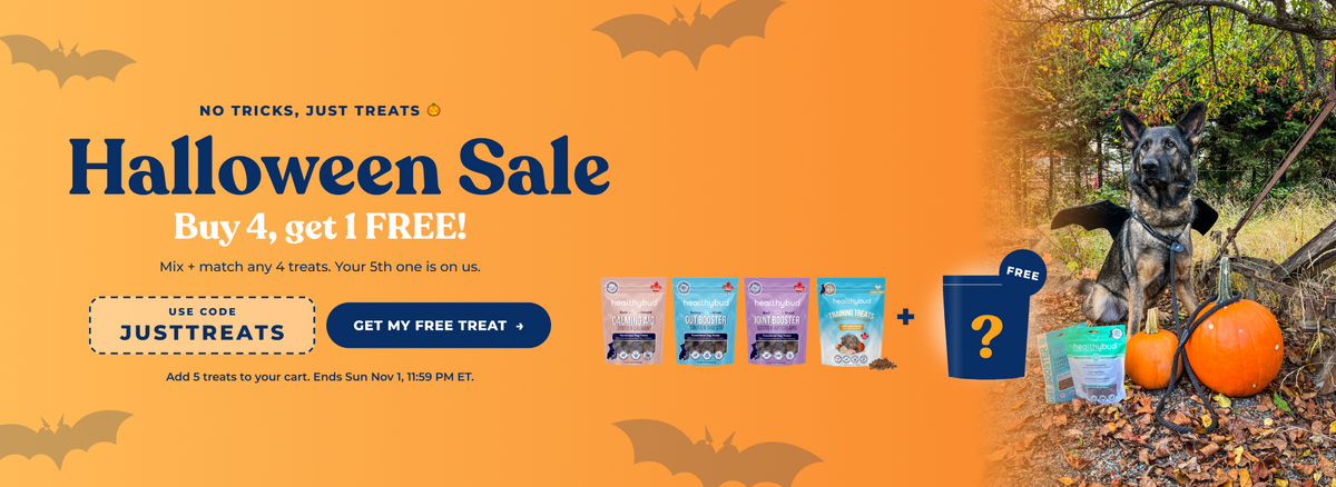 Father's Day Sale - Buy 4 Get 1 Free